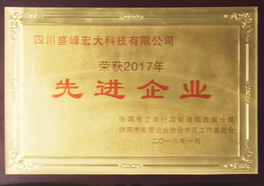 2017年先進(jìn)單位